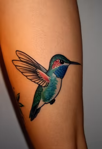 Hummingbird Art Hummingbird Art