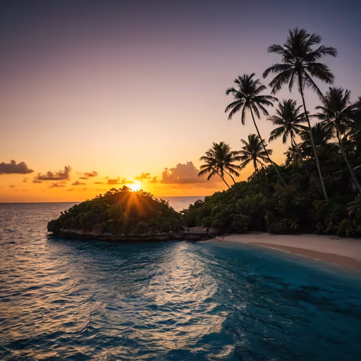 Tropical Paradise