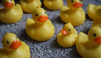 Rubber Duckies