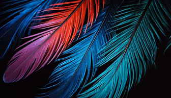 Feathered Dreams Feathered Dreams