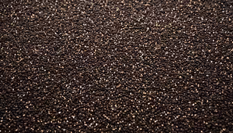 Black Sesame Seeds Black Sesame Seeds