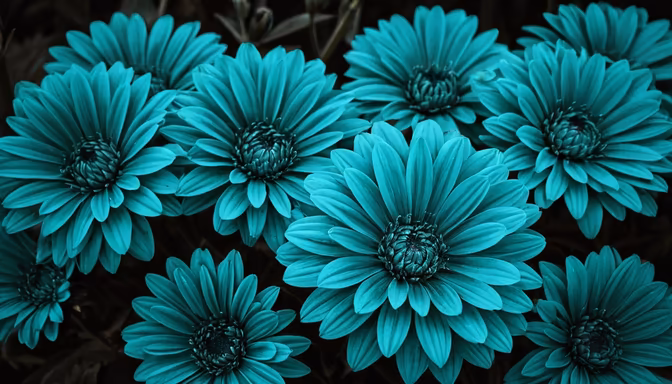 Aqua Bloom