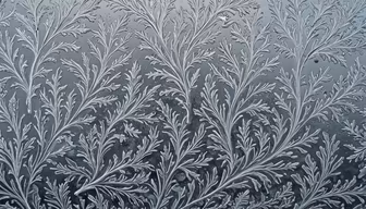 Winter's Artistry Winter's Artistry