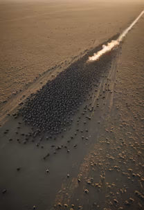 The Great Migration
