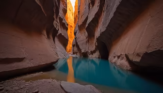 Canyon Oasis Canyon Oasis