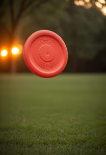 Frisbee Fun Frisbee Fun