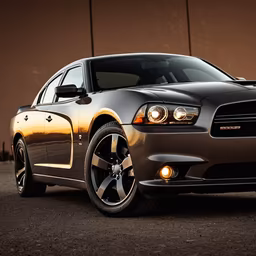 American Muscle American Muscle