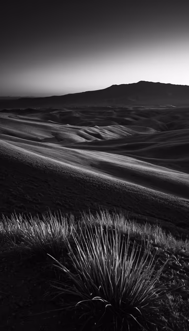 Rolling Hills Rolling Hills
