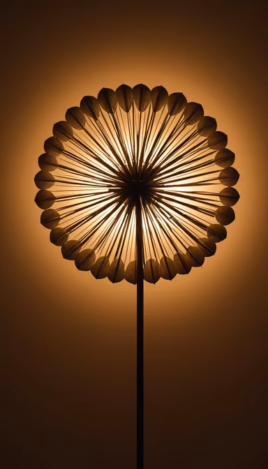 Dandelion Lamp Dandelion Lamp