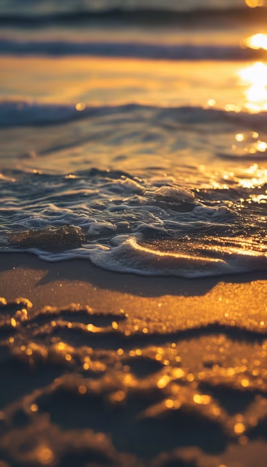 Golden Hour at the Beach Golden Hour at the Beach