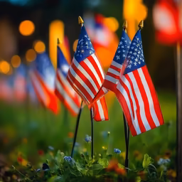 Stars and Stripes Forever Stars and Stripes Forever