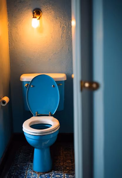 Blue Bathroom Blue Bathroom