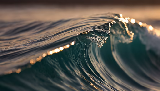 Ocean's Embrace
