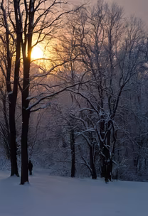 Winter's Embrace Winter's Embrace