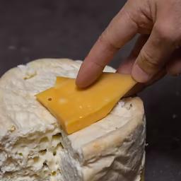 Cheese Perfection