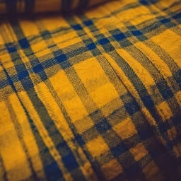 Checkered Comfort Checkered Comfort