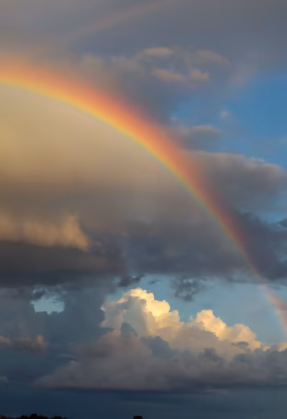 Chasing Rainbows Chasing Rainbows