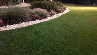 Lush Green Lawn Lush Green Lawn