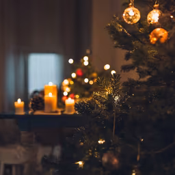 Holiday Ambiance Holiday Ambiance
