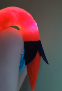 Flamingo Flair