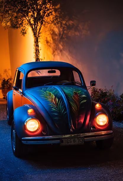 Tropical Beetle