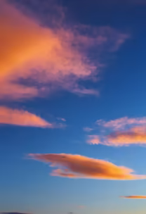 Painted Skies