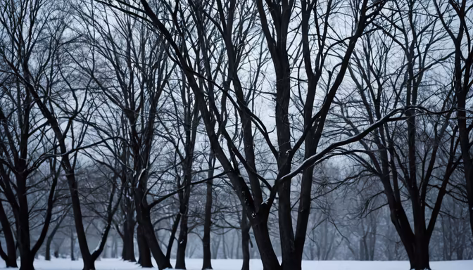 Winter's Embrace