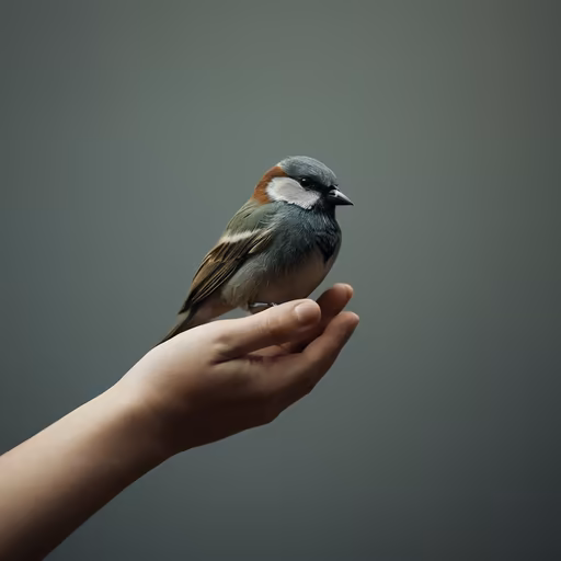 A Moment of Trust