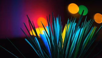 Neon Garden Neon Garden
