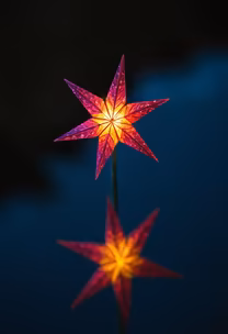Starry Night Starry Night