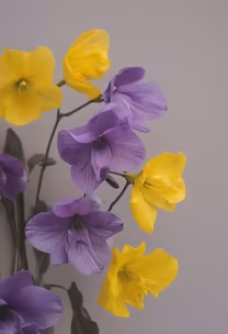 Spring Bouquet Spring Bouquet