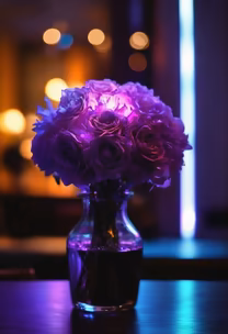 Midnight Bloom Midnight Bloom