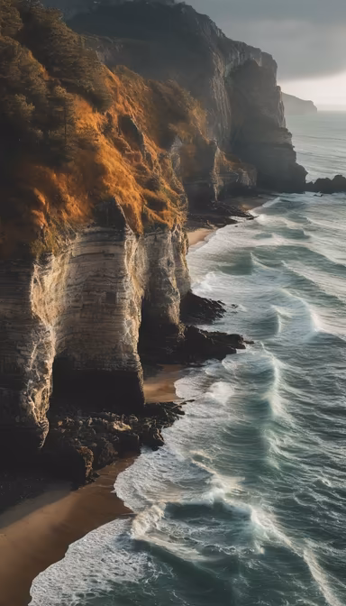 Coastal Majesty Coastal Majesty