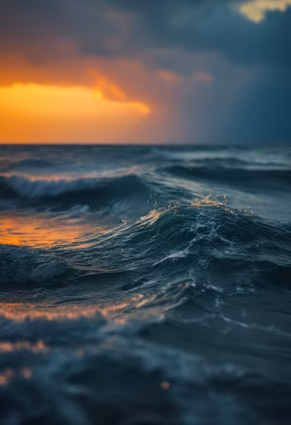 Ocean's Embrace