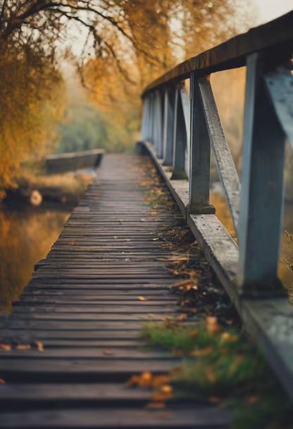 Autumn Bridge Autumn Bridge