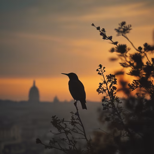 City Bird