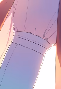 Elegant Sleeve Elegant Sleeve