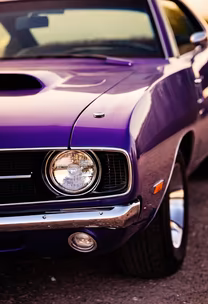 Purple Power