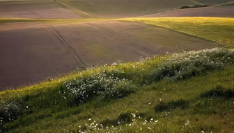 Rolling Hills