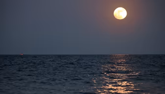 Moonlit Ocean
