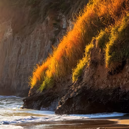 Coastal Serenity