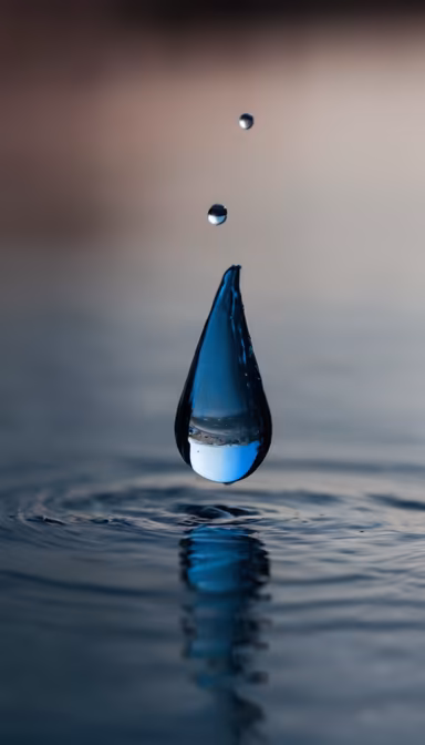 Water Drop Water Drop