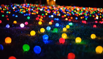 Field of Lights