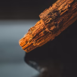 Rustic Beauty Rustic Beauty
