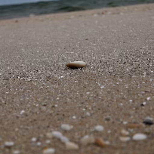Solitary Stone