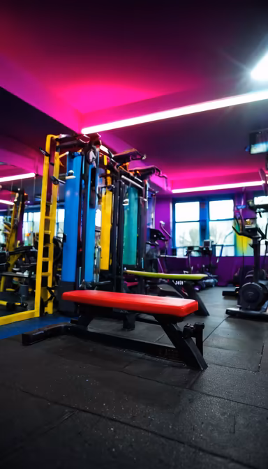 Gym Vibes Gym Vibes