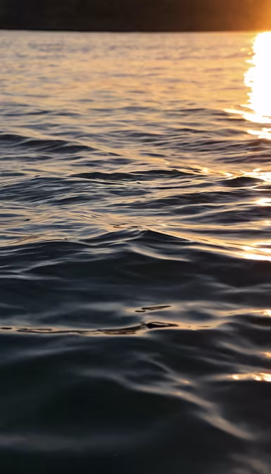 Golden Hour Waves Golden Hour Waves