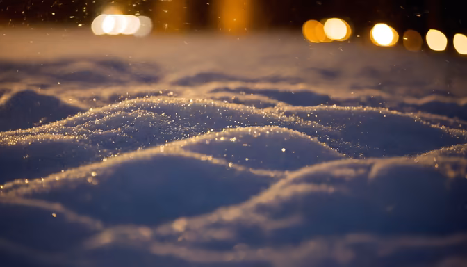Winter's Embrace