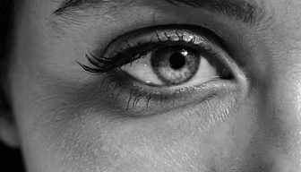 Window to the Soul Window to the Soul