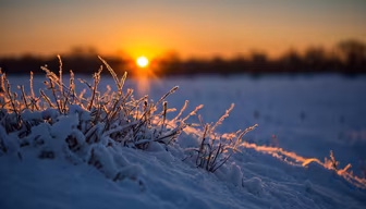 Winter's Embrace Winter's Embrace